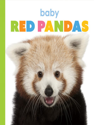 cover image of Baby Red Pandas